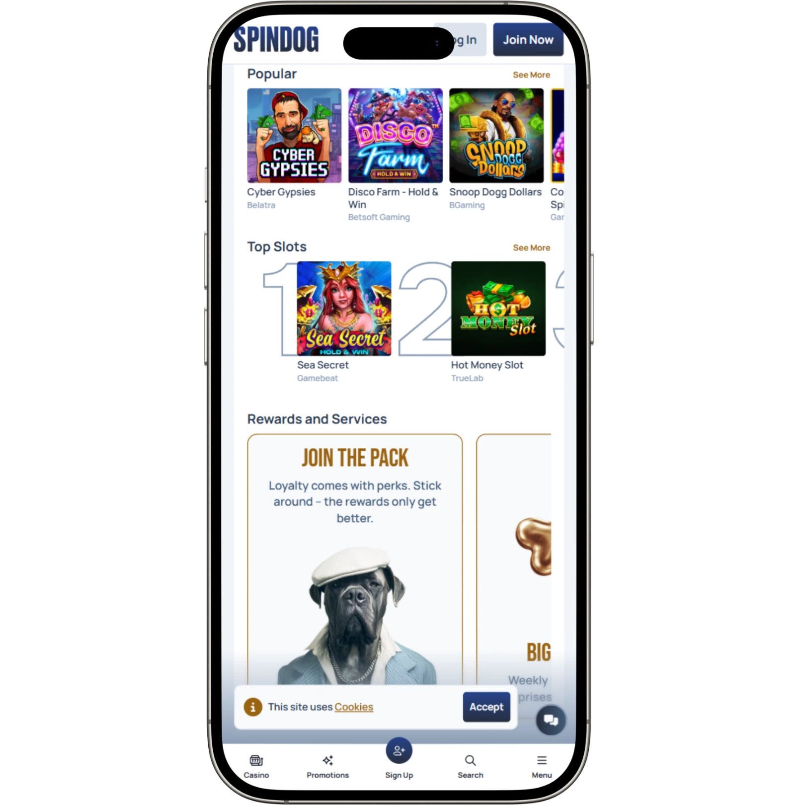 SpinDog Casino Mobile App & Usage